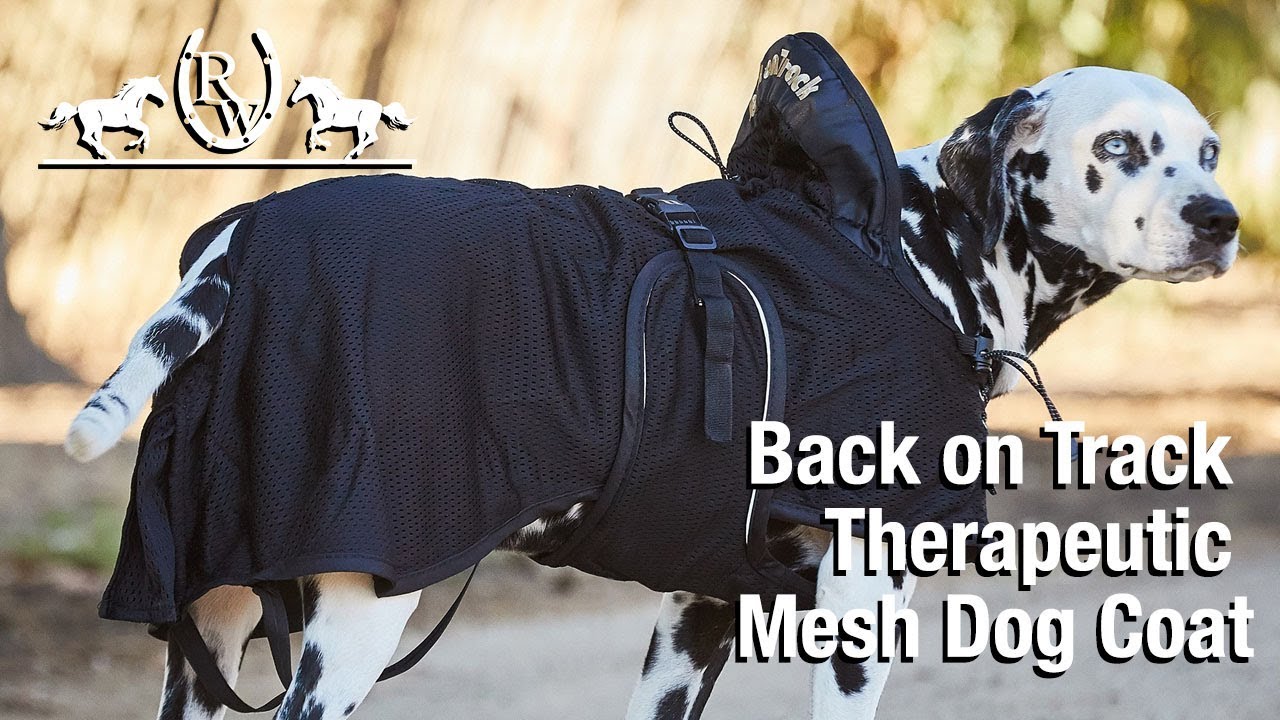 Back on Track Therapeutic Mesh Dog Coat