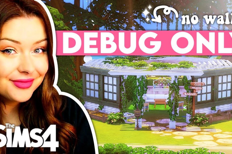 Using ONLY Debug Items to Build a House in The Sims 4 ?? Debug Only Build Challenge