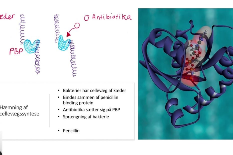 Antibiotika - Basal Farmakologi