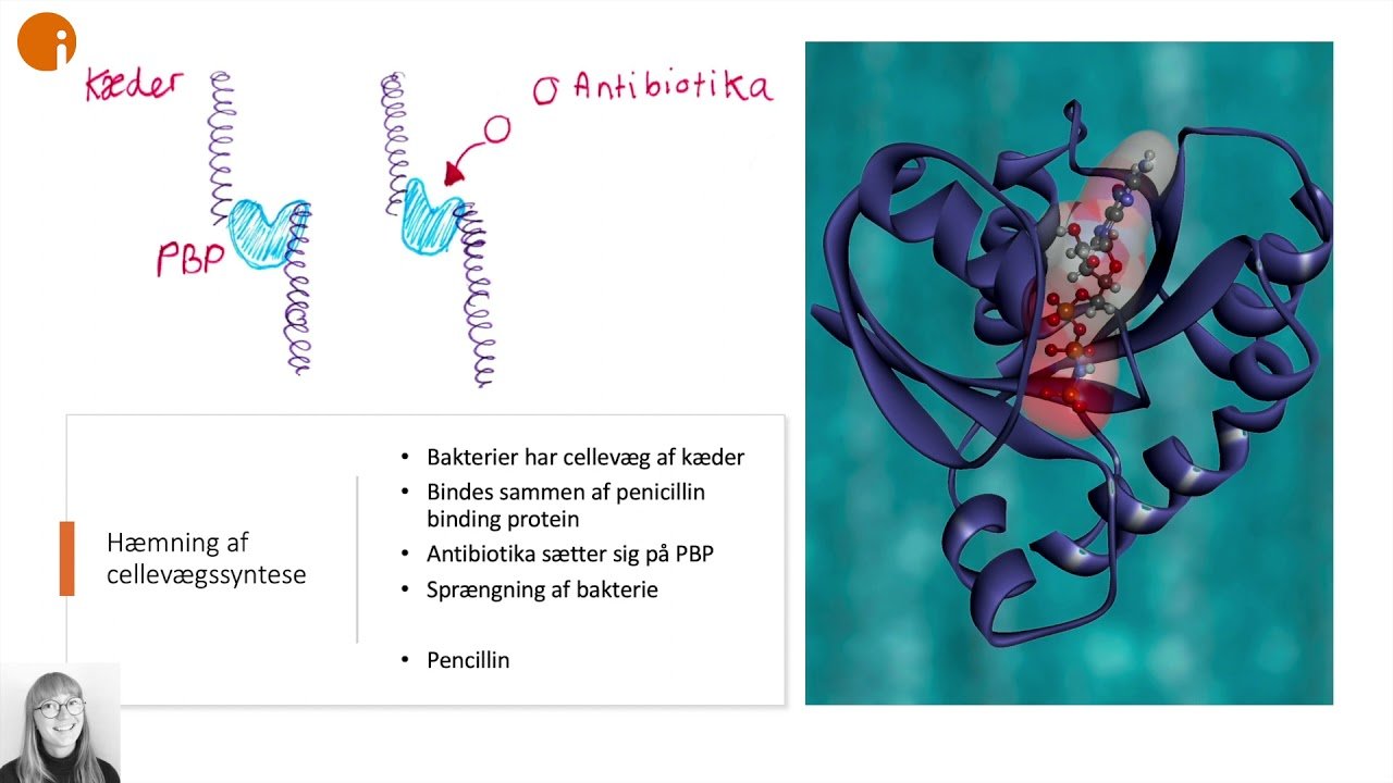 Antibiotika - Basal Farmakologi Antibiotika - Basal Farmakologi
