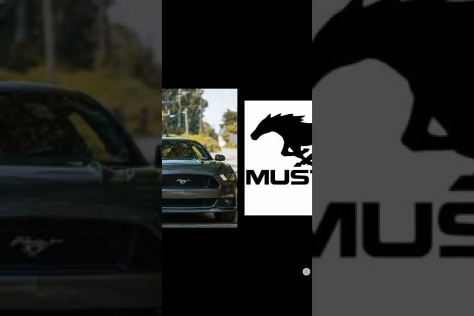 🐎horse logo cars🚗
