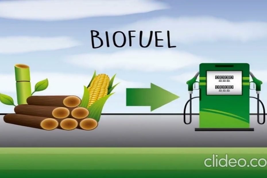 Biofuel Vs Fossil fuels