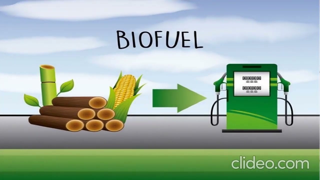 Biofuel Vs Fossil fuels Biofuel Vs Fossil fuels