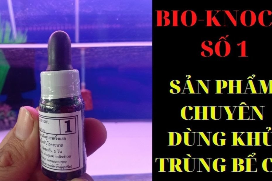 Bio knock số 1 dược phẩm không thể thiếu khi nuôi cá cảnh_Huấn_sinh_vật_cảnh #shorts