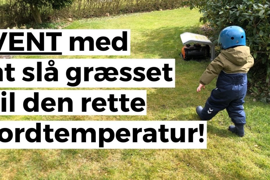 Lad være med at slå græsset for tidligt - Den helt rigtige jordtemperatur er altså vigtig