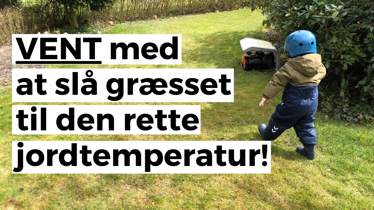Lad være med at slå græsset for tidligt - Den helt rigtige jordtemperatur er altså vigtig Lad være med at slå græsset for tidligt - Den helt rigtige jordtemperatur er altså vigtig