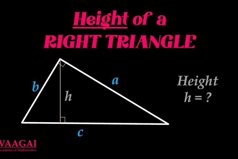 Height of a Right Triangle | In English
