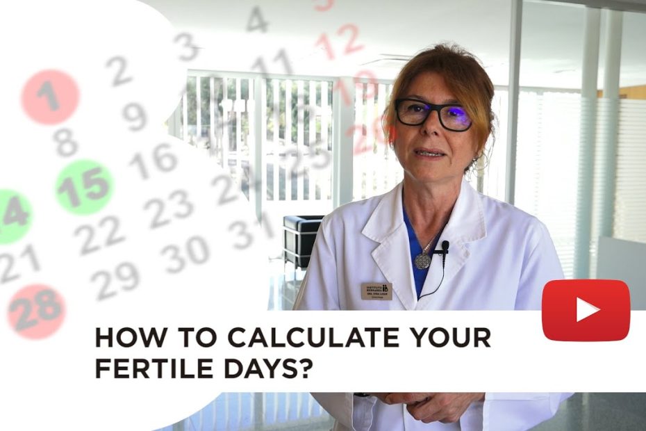 Calculating ovulation: the optimum time for getting pregnant