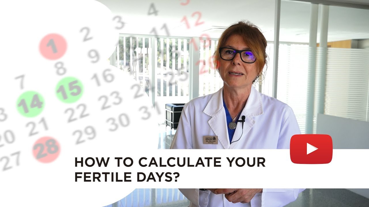 Calculating ovulation: the optimum time for getting pregnant Calculating ovulation: the optimum time for getting pregnant