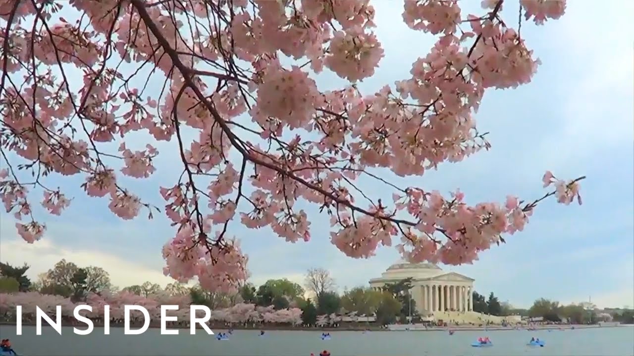 The New York Times Named Washington, DC The No. 1 Place To Travel In 2020