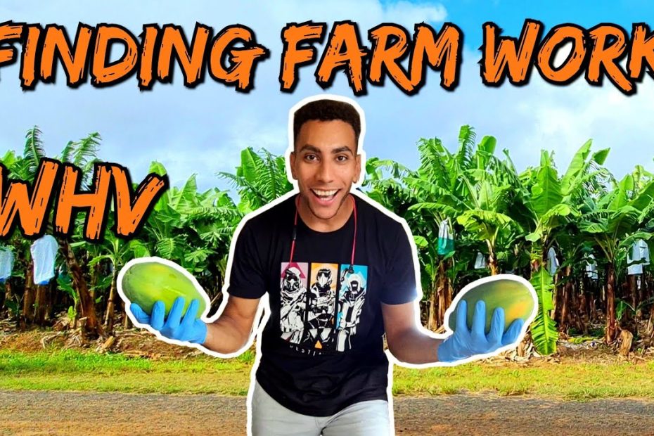 How to find Farmwork for your Australia Working Holiday Visa + A day in the life on the farm