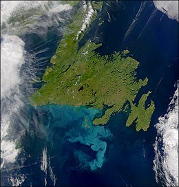 Newfoundland (island) - Wikipedia Newfoundland (Island) - Wikipedia