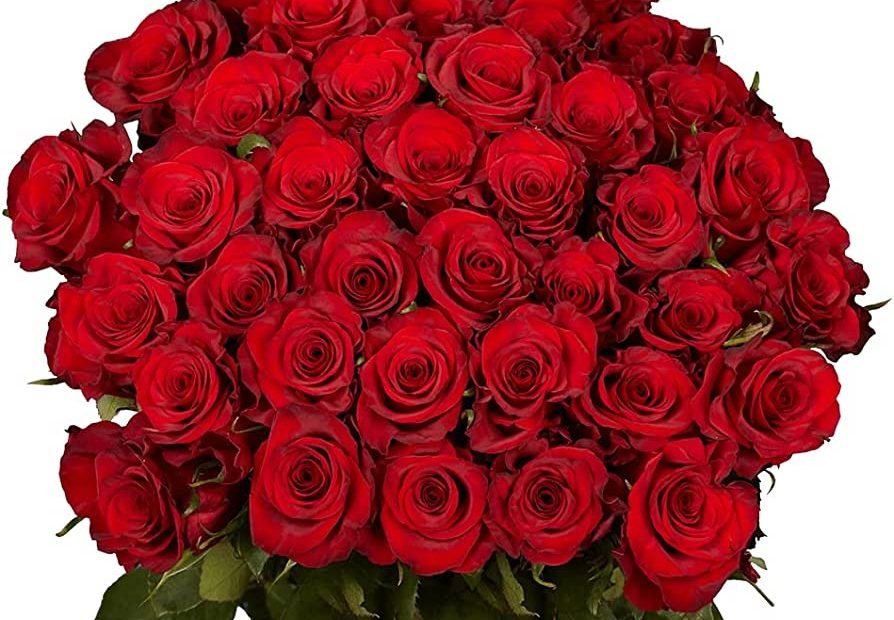 Amazon.Com: Rosas Rojas - 50 Flores Recién Cortadas - Hermoso Regalo :  Comida Gourmet Y Alimentos