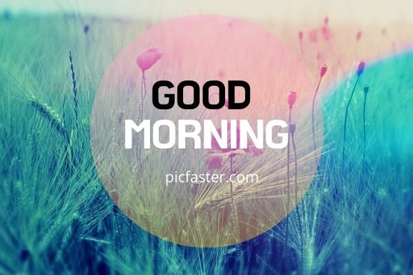 60+ Amazing Good Morning Images For Whatsapp | Daily Wishes