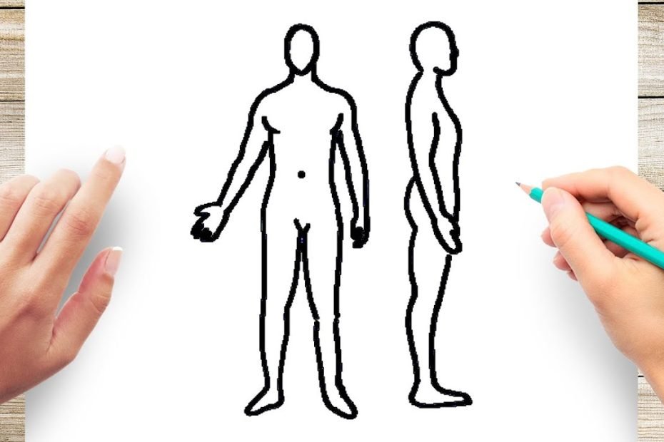 How To Draw Human Body Step By Step For Kids - Youtube