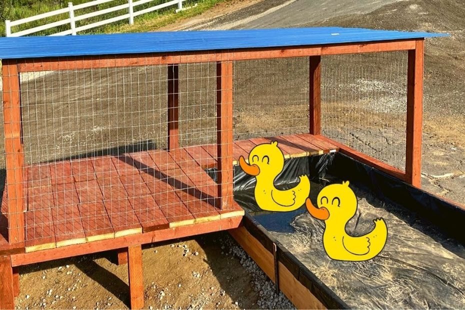 Our Thrown Together Duck Coop/Pond - Youtube