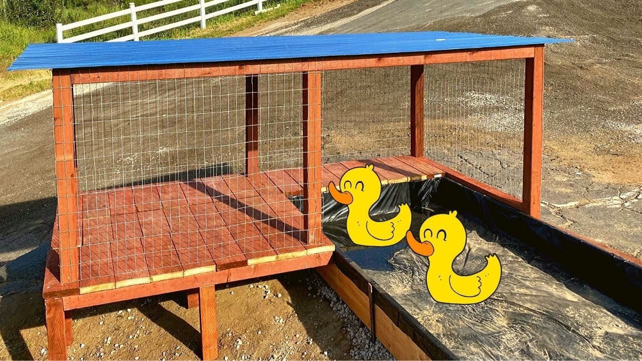 Our Thrown Together Duck Coop/Pond - YouTube Our Thrown Together Duck Coop/Pond - Youtube