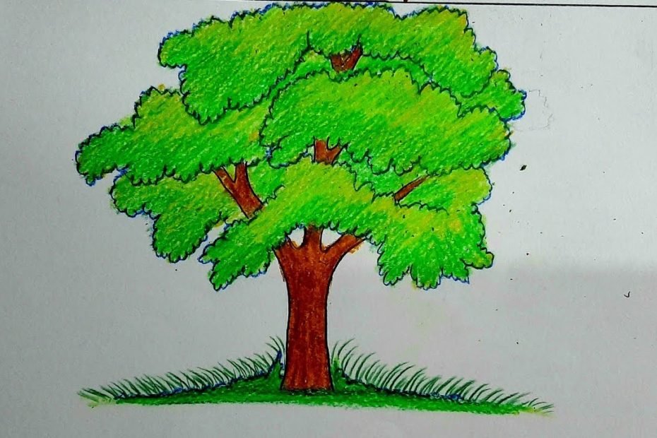 How To Draw A Tree-Tree Tree Drawing Pencil- Tree Drawing - Youtube