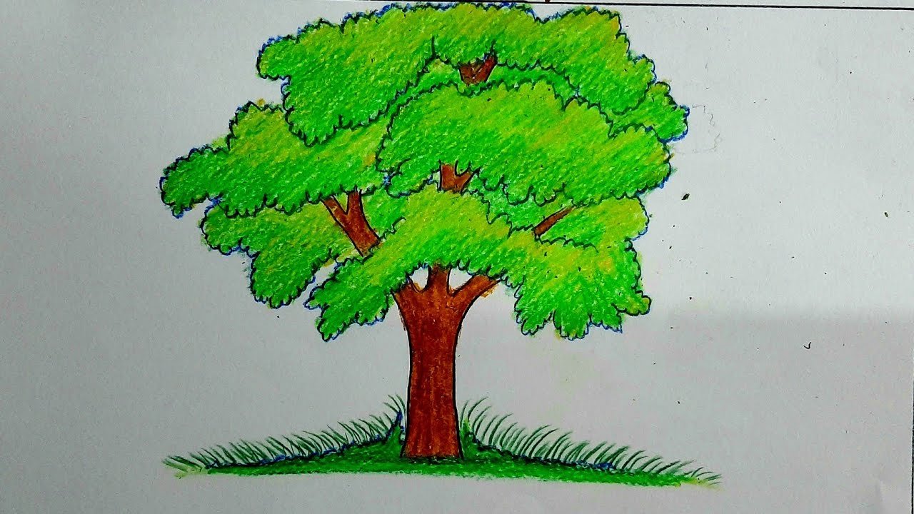 How to draw a tree-Tree Tree drawing pencil- tree drawing - YouTube How To Draw A Tree-Tree Tree Drawing Pencil- Tree Drawing - Youtube