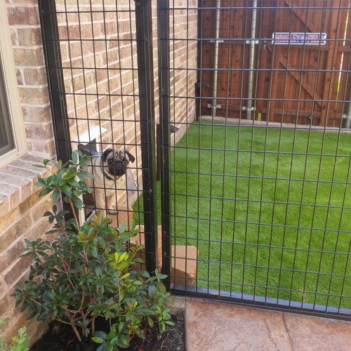 Dog Potty Area Guide: Tips And Ideas - Happy Oodles