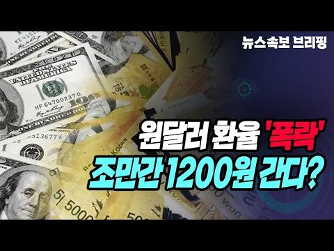 [뉴스속보] 원달러 환율 '폭락'...조만간 1200원 간다? [정완진TV]