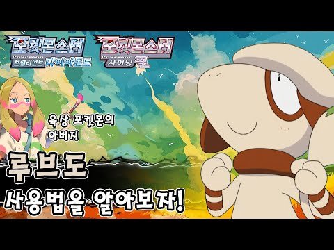 모든 기술을 습득하는 육상 포켓몬의 아버지 루브도 사용법을 알아보자! [포켓몬스터 브릴리언트 다이아몬드 샤이닝 펄]