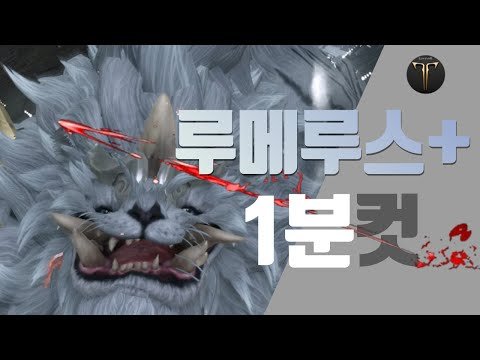 [토벌전] 루메루스+ 1분 핵심 공략 정리