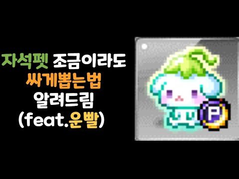 [메이플스토리] 자석펫 싸게 뽑기 (feat.운빨ㅈㅁㄱ)
