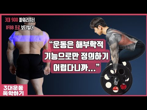 아무도 알려주지 않는 데드리프트 광배근 사용 방법