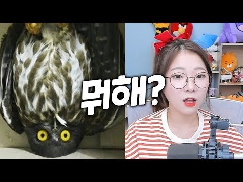 루공카 유머글 하이라이트 모음집 2탄!