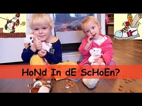 SCHOEN ZETTEN  2016 | Bellinga SINTERKLAAS Vlog