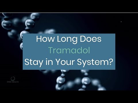 Tramadol - How Long Does Tramadol Stay in Your System? - Opus Health