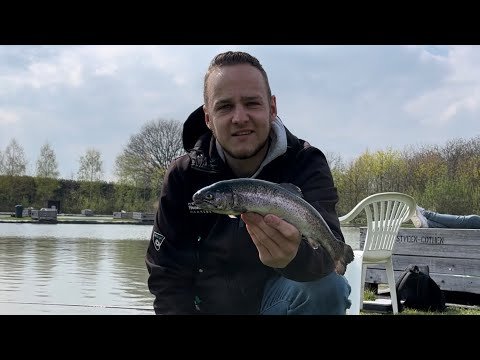 Hoe vang je forel?