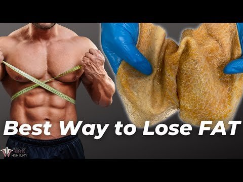 Best Way to Lose Fat | The Science of the Fat Burning Zone