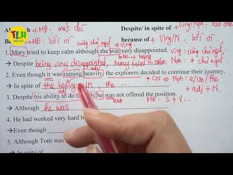 Although, in spite of, because | Bài 44 (42-45)| Tiếng Anh cơ bản cho người mất gốc | TLH English