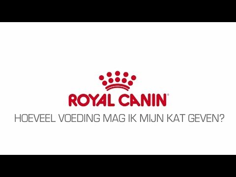 Hoeveel voeding mag ik mijn kat geven?