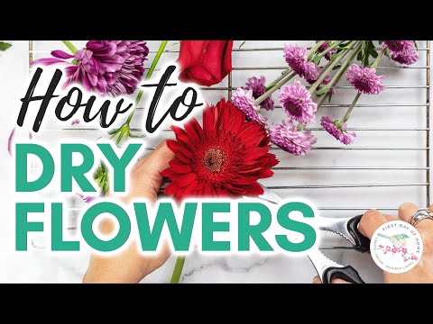 How to Dry Flowers 5 Ways | Ultimate Guide to Drying Flowers | How to Dry Flowers at Home